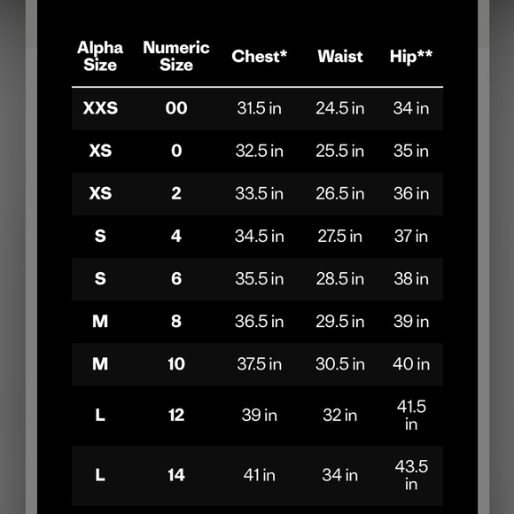Patagonia Retro Pile Vest - Picture 3 of 3